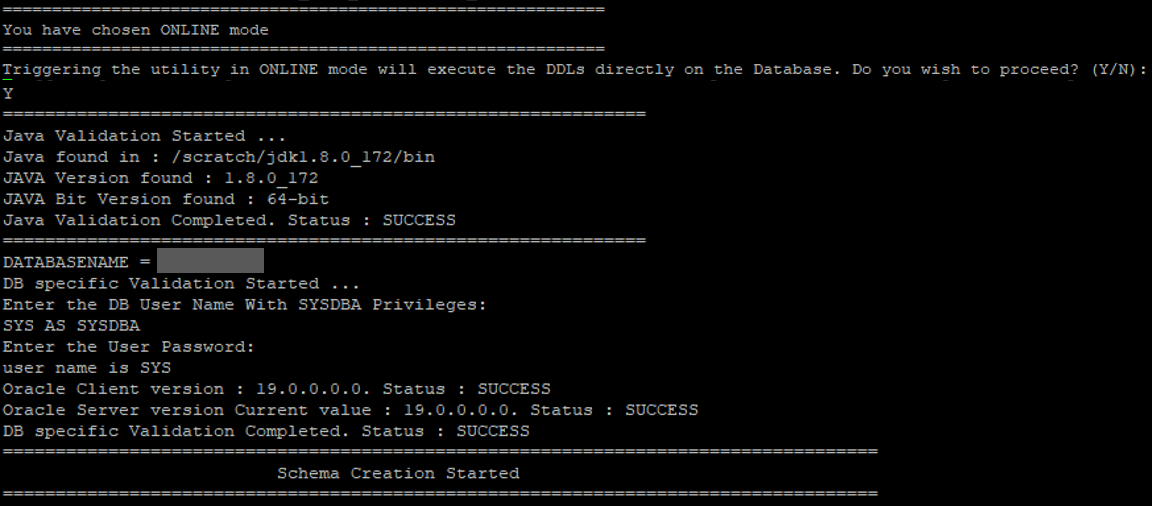 This illustration shows the Schema creation in the Online mode with the DDL execution.