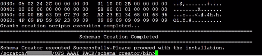 This illustration shows the successful Schema creation in the TCPS mode.