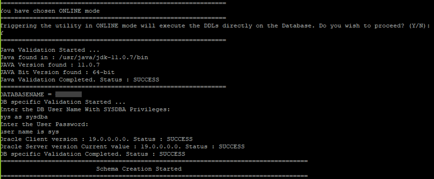 This illustration shows the Schema creation in the Online mode with the DDL execution.
