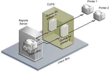Принт сервер схема. Cups принтер. Cups Print Server. Common Unix Printing System. Сервер cups