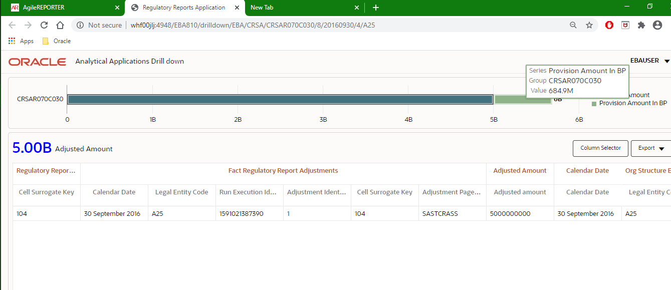 This illustration shows the Drill down for Total Page Instance Value page, the drill down displaying the total page instance value in AgileREPORTER.