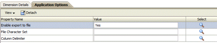 Image show Application Options tab for a custom target application.