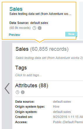 Shows the quick look information for a data set.