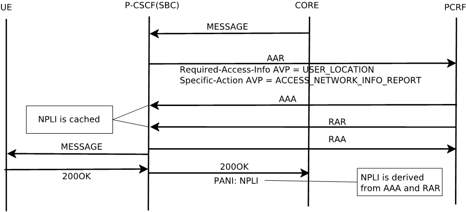 The MT Message with NPLI in AAR/AAA and RAR/RAA within Holding call flow is described above.