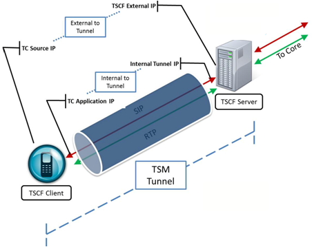 The TSM Tunnel Address Structure diagram is described below.