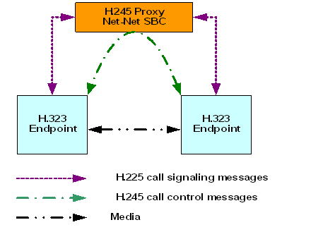 The H.245 proxy mode diagram is described above.