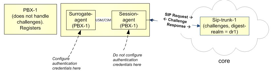 This image depicts a surrogate agent with a session agent in the network.