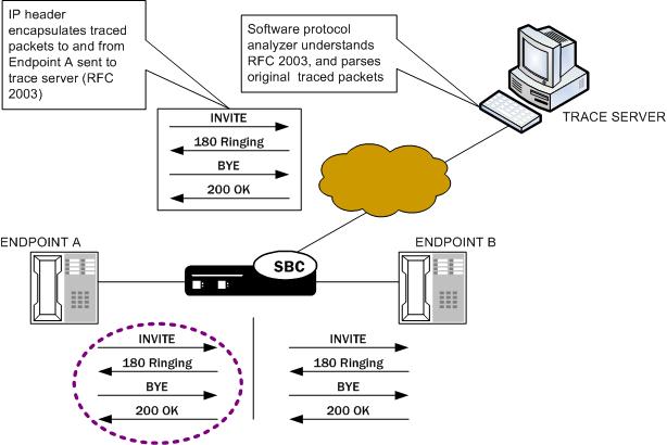 This image depicts the SBC performing a packet trace on a single endpoint.
