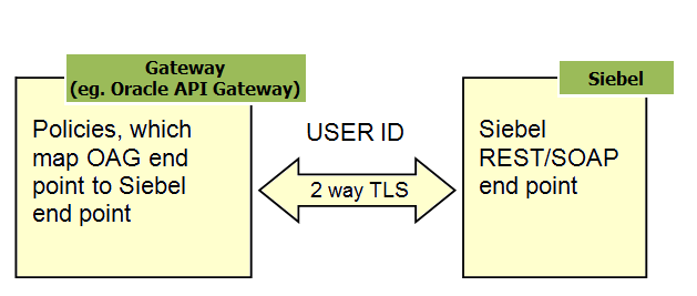 Oracle API Gateway Role in Single Sign-On Authentication Process