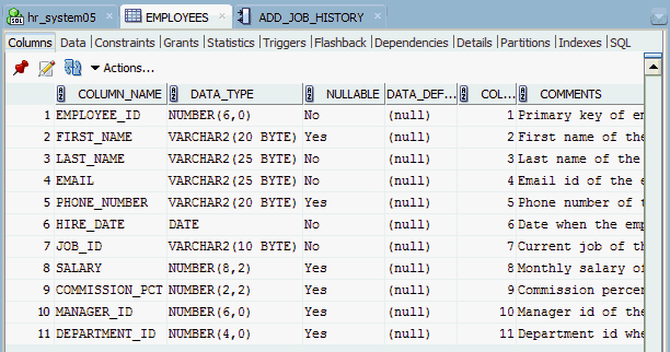 Sql Developerの概要および使用方法