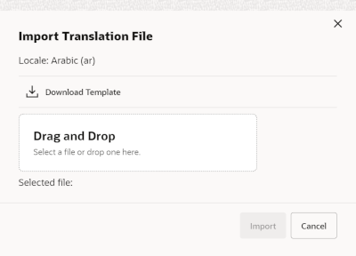 Import Translation File Popup