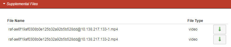 This screenshot shows the recording details' supplemental files section.