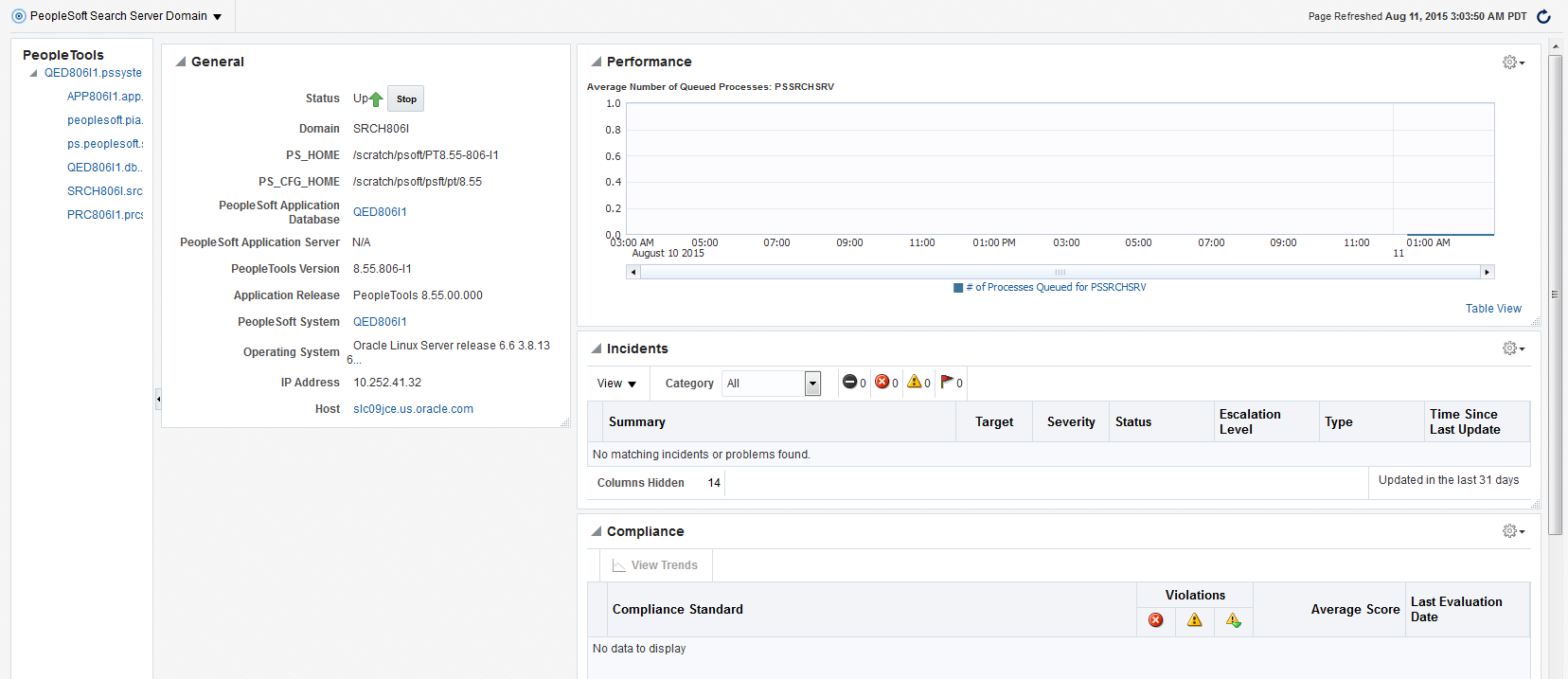 PeopleSoft Search Server Domain Target page