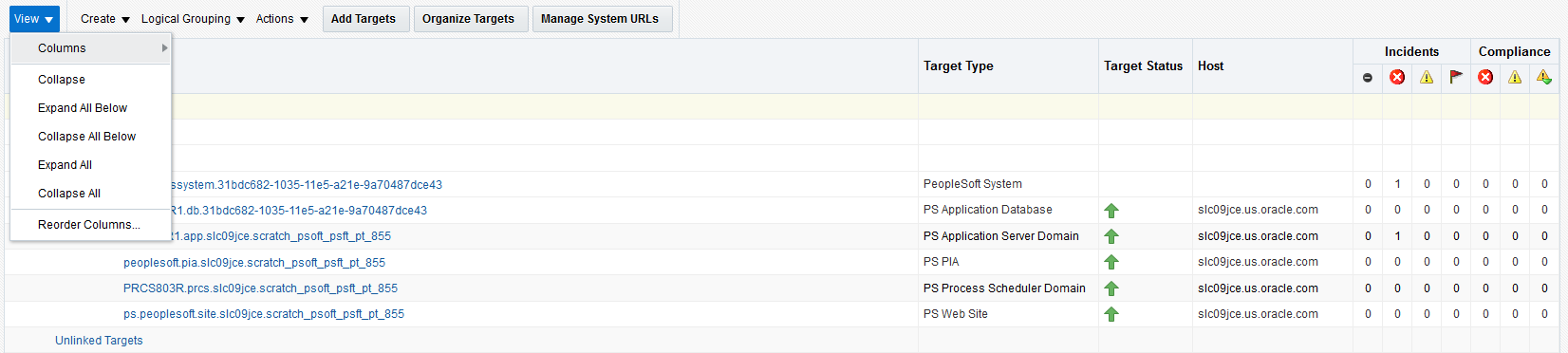 All PeopleSoft Targets - View Tab