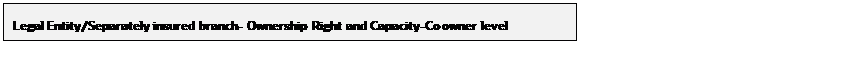 Title: Insurance Limit for JNT translation - Description: In reference to the above image, the application for JNT is translated to the Capacity-Co owner level.