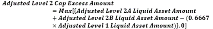 Title: Adjusted Level 2 Cap Excess Amount - Description: This is the formula to calculate the Adjusted Level 2 Cap Excess Amount.