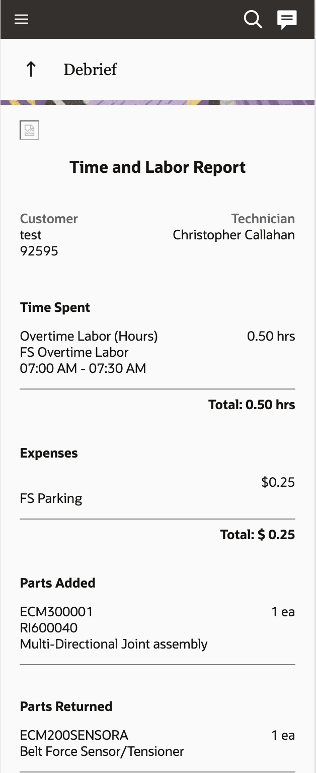 このスクリーンショットは、Time and Labor Report pg 1 (幅の狭い)を示しています。