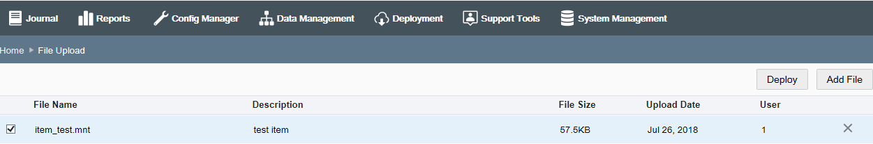 File Upload page - File selected