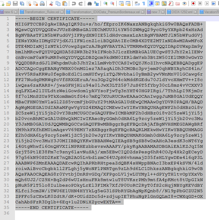 Image represents Example.Certificate File.