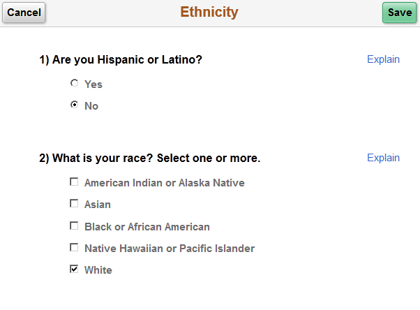 Ethnicity page