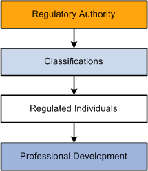 Overview of the Manage Professional Compliance Structure