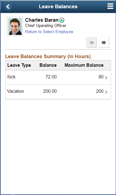 Leave Balances_Summary page