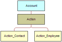 Account Activity Structure