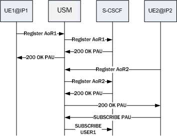 Depicts a PAU assigned to first user instead of originating IP. Depicts a PAU assigned to first user instead of originating IP.