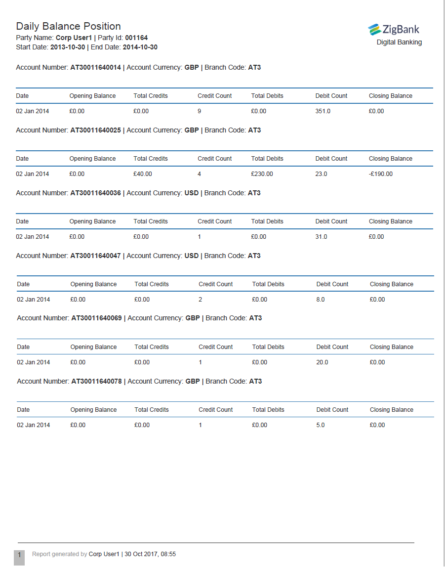 Daily Balance Position Generated report