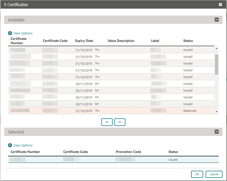 This image shows the E certificates details