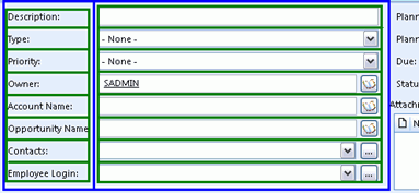 Activity Form: This image shows a column divided into cells for entering captions for fields.