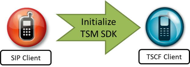 Initialize the TSCF-Client side API Initialize the TSCF-Client side API