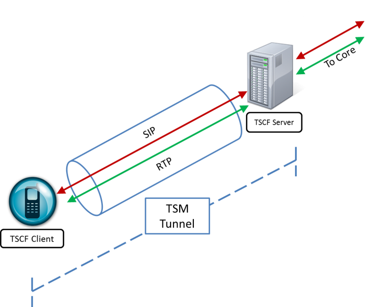 Send RTP message over the TSM Tunnel Send RTP message over the TSM Tunnel
