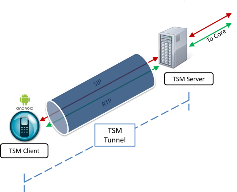 This image shows a basic TSM setup. This image shows a basic TSM setup.