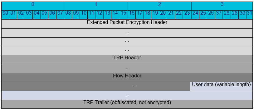 Encrypted Packet with Extended Packet Encryption Header