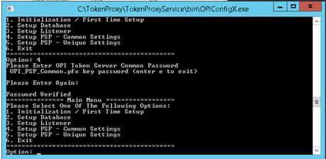 This image shows how to enter OPI Token server common password.