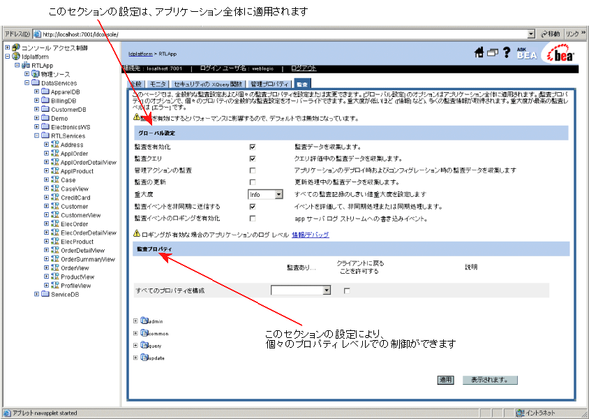 監査オプション