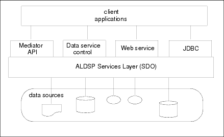 AquaLogic Data Services Platform サービスへのアクセス