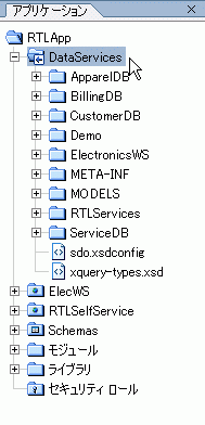 RTLApp の DataServices フォルダの主なコンポーネント