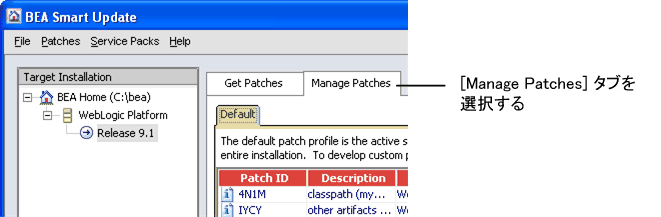 [Manage Patches] タブを選択
