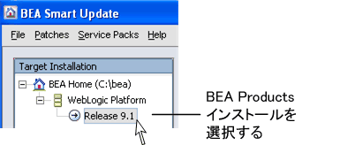 [Target Installation] パネルで BEA Products インストールを選択