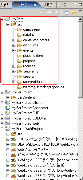 パッケージ エクスプローラに追加された Datasync プロジェクト