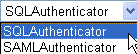 Choose the Authentication Provider from the Drop-Down List