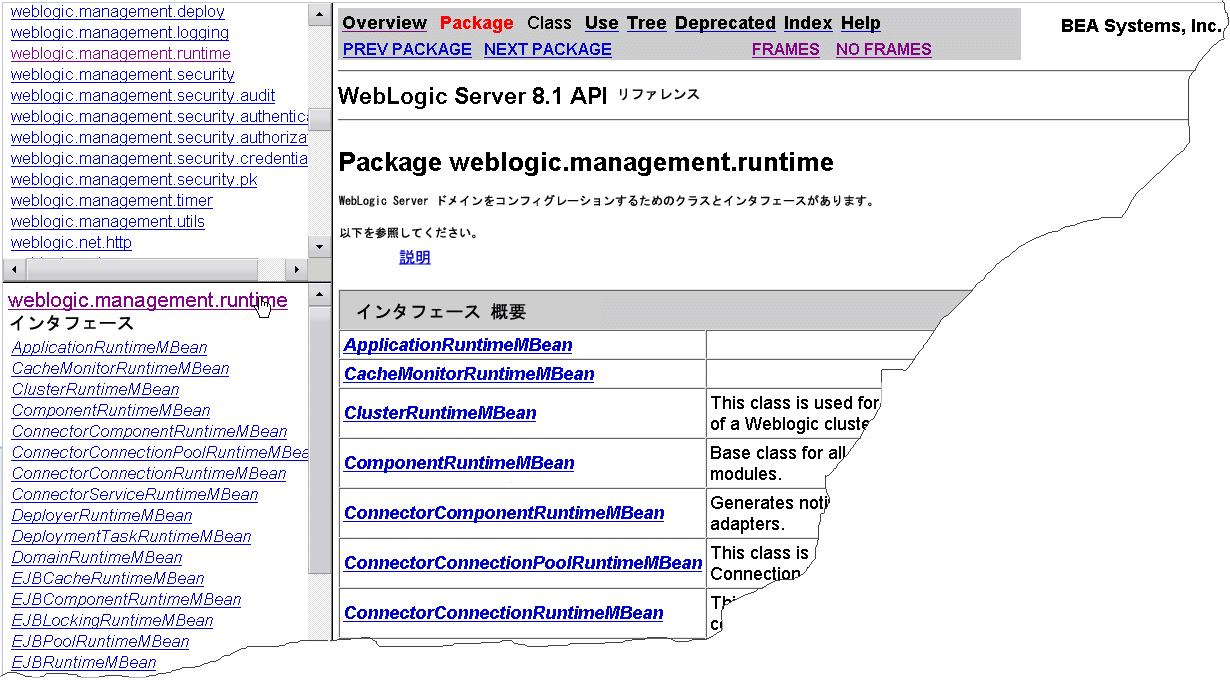 runtime パッケージの Javadoc