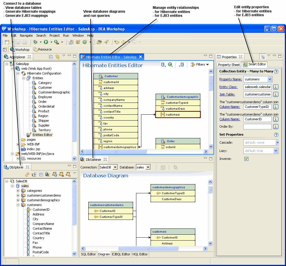 The ORM Workbench is made up of the DbXplorer, DbXaminer, Entities Editor, and Smart Editor views