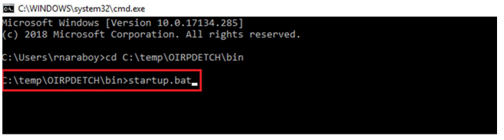 Screenshot displaying step 2 (run.bat file in command prompt)