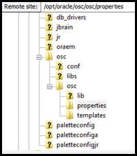 File structure on the server