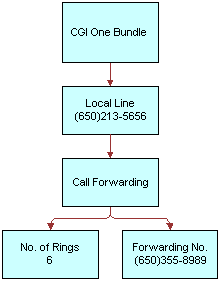 In this image, CGI One Bundle has Local Line which has Call Forwarding. Call Forwarding has No. of Rings 6 and Forwarding No.