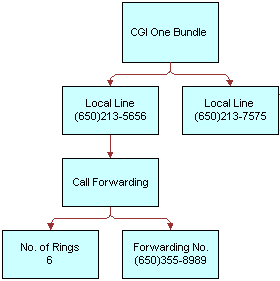 In this image, CGI One Bundle has Local Line with Call Forwarding. Call Forwarding has No. of Rings 6 and Forwarding No. CGI One Bundle also has Local Line.