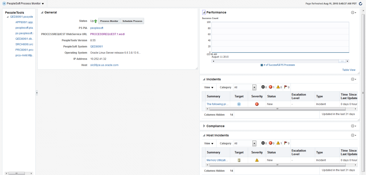 PeopleSoft Process Monitor page